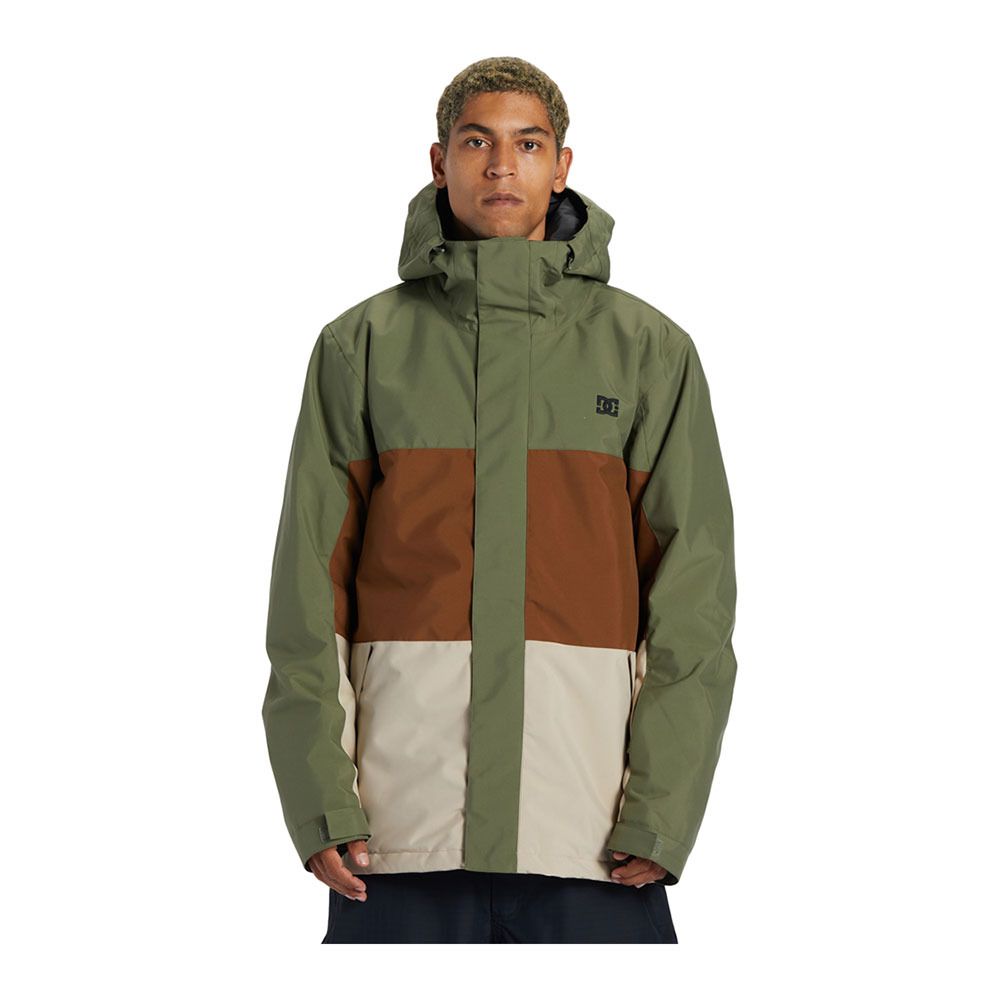 DC Shoes DEFY - Veste ski Homme four leaf clover