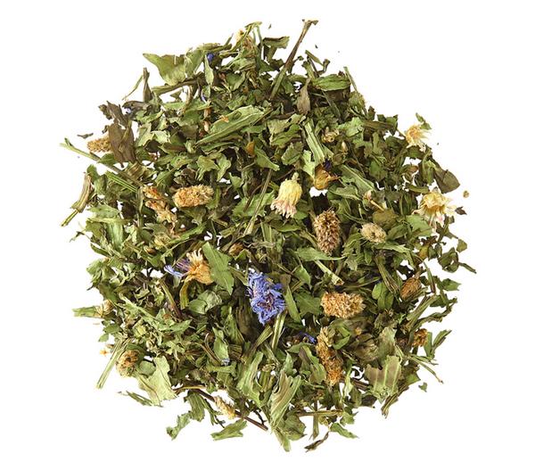 Dehner Lieblinge Spitzwegerich, 125 g