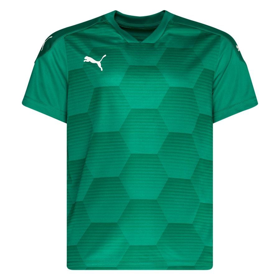 PUMA Maillot teamFINAL 21 Graphic - Vert/Vert Enfant