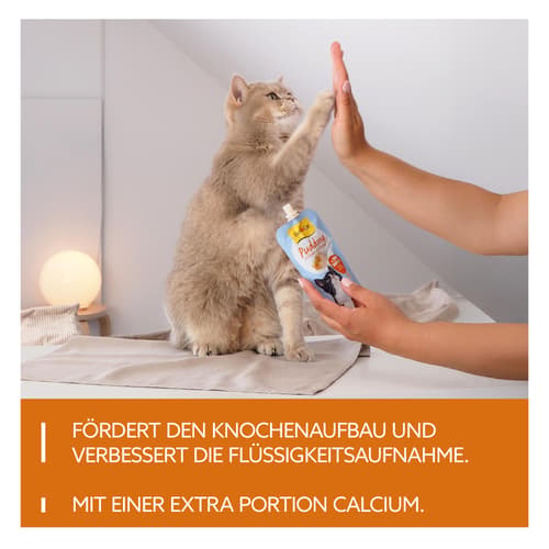 GimCat Pudding mit Käse 100g