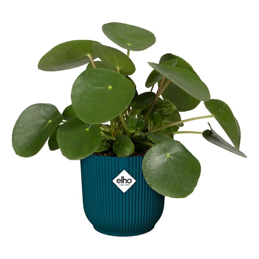 INNEPOTTE ELHO VIBES FOLD ROUND Ø25CM BLÅ