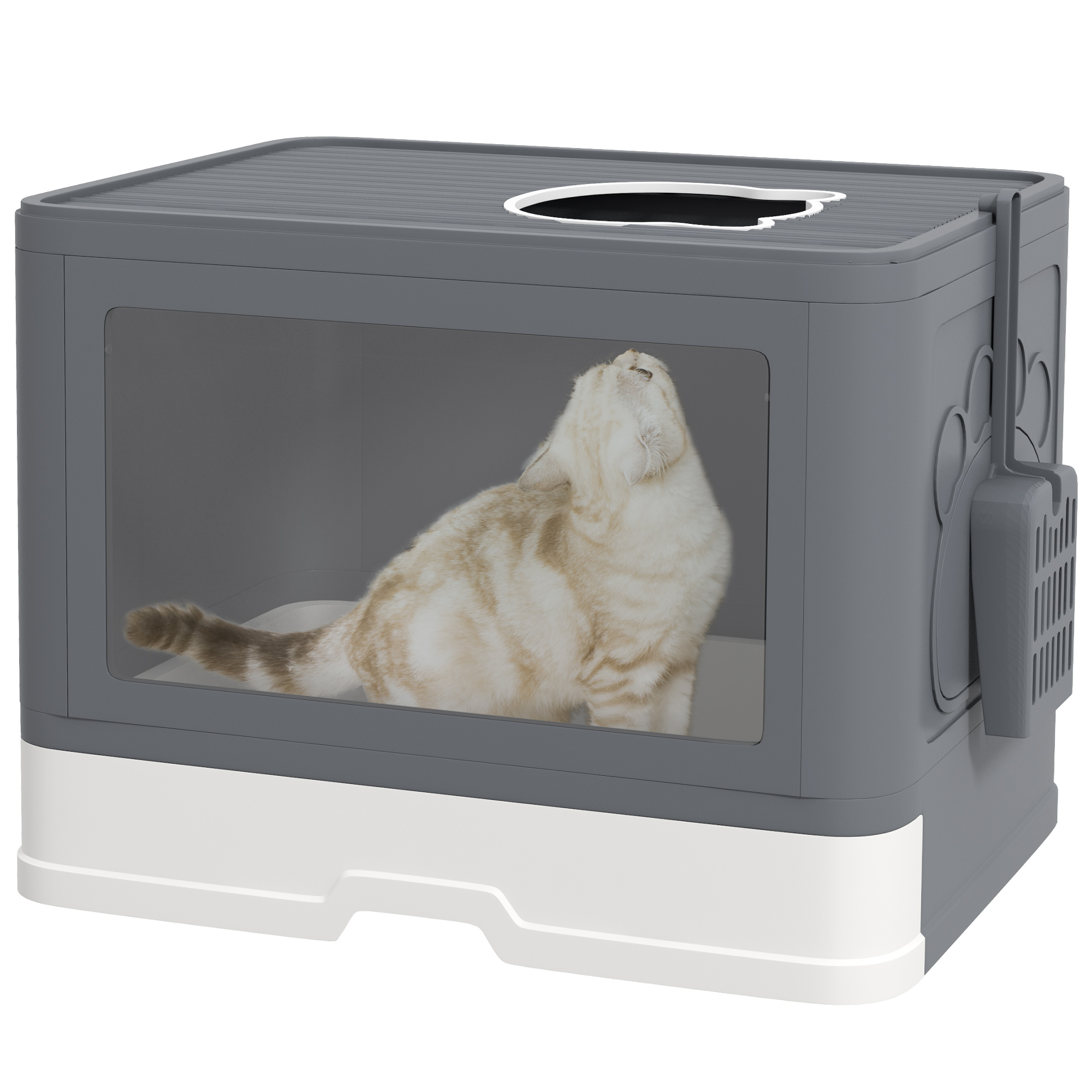 Caixa de areia cinza para gatos PawHut