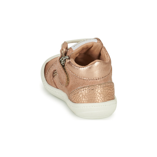 GBB - AURELIA - Rose