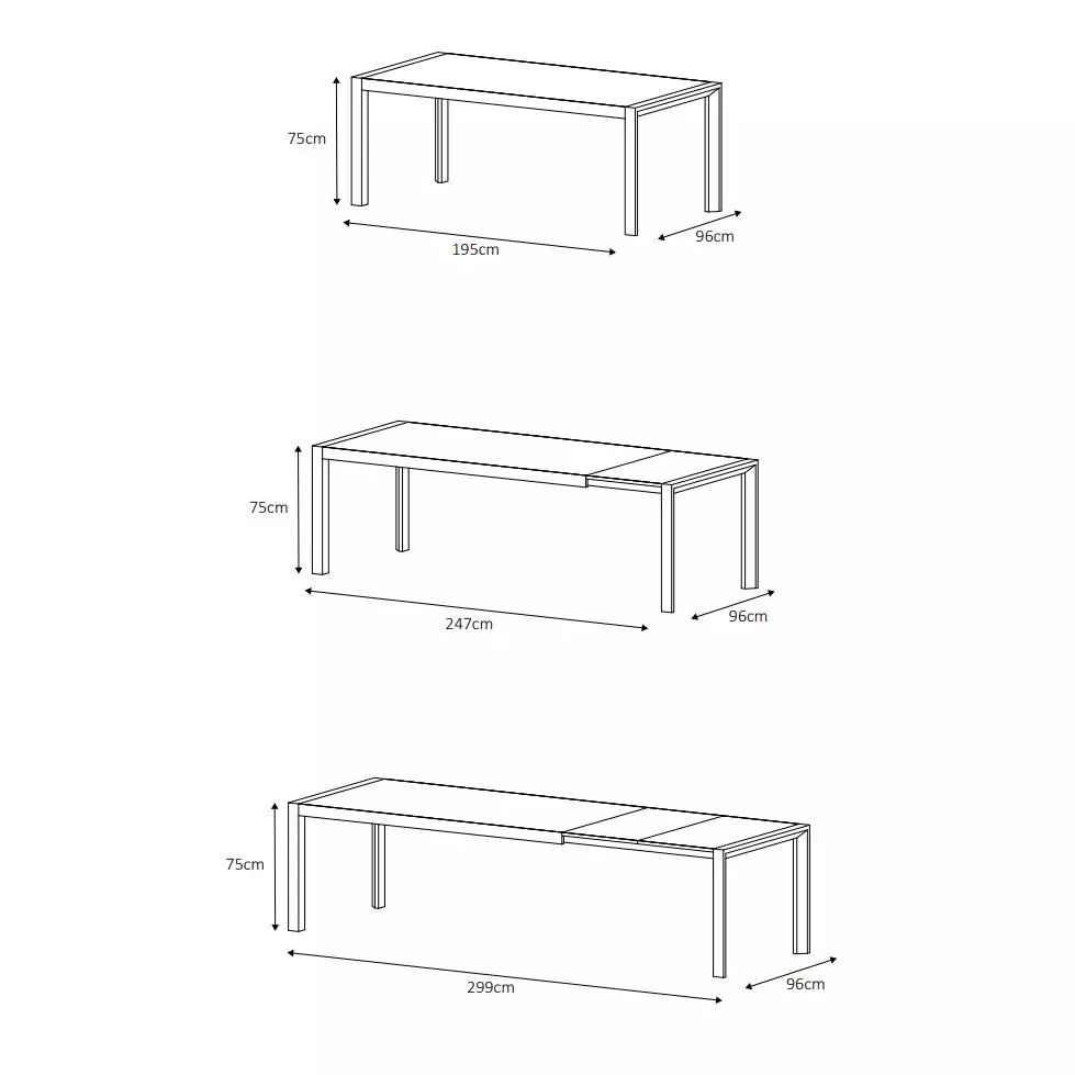 Table de jardin extensible en aluminium 12 places (195/300 x 96 cm) Amalfi Gris anthracite