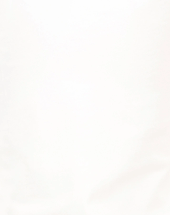 T-Shirt SCHMETTERLINGE in white