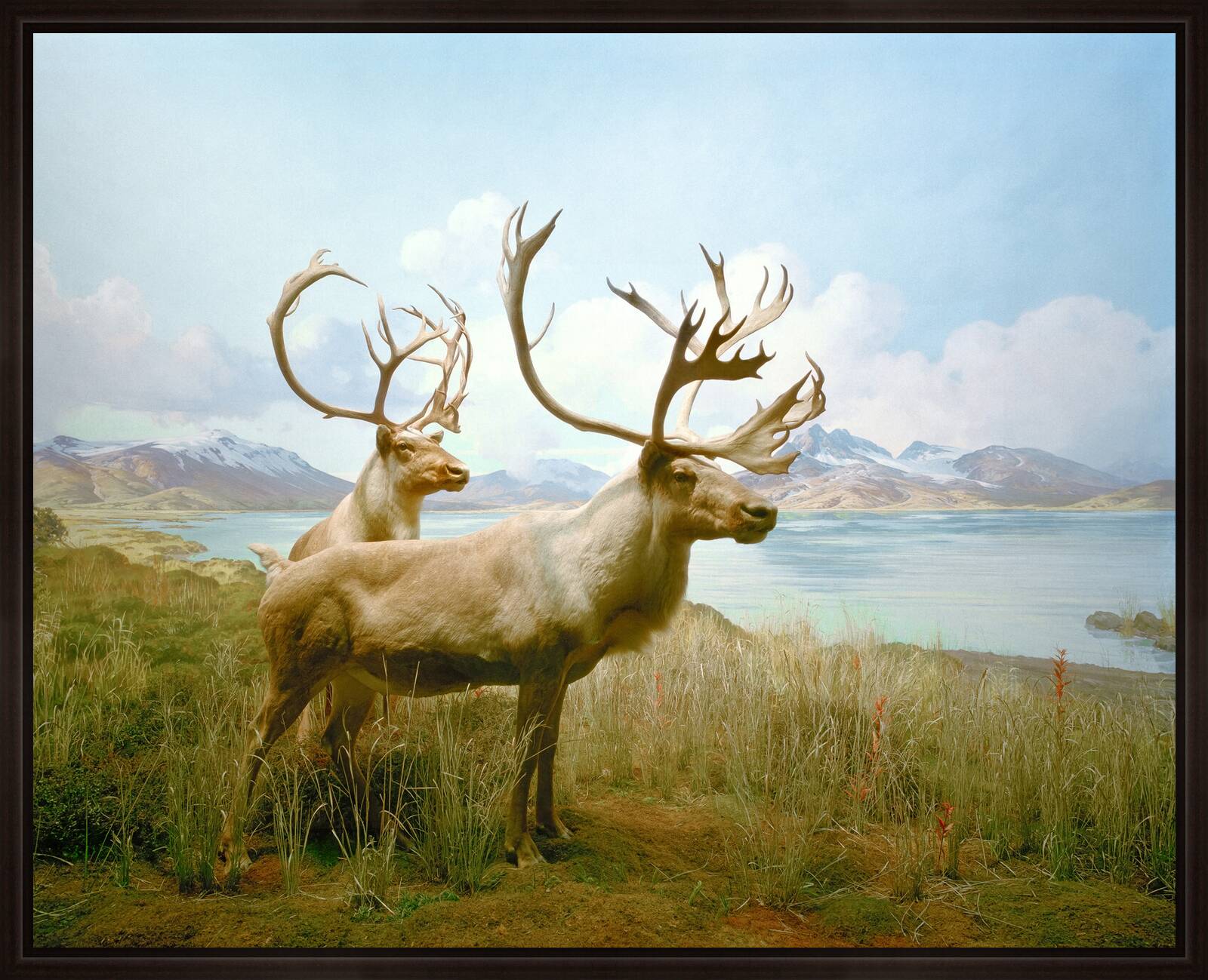Diorama #10 by Henning Bock - Limited Edition. Edition of: 100. Signed.