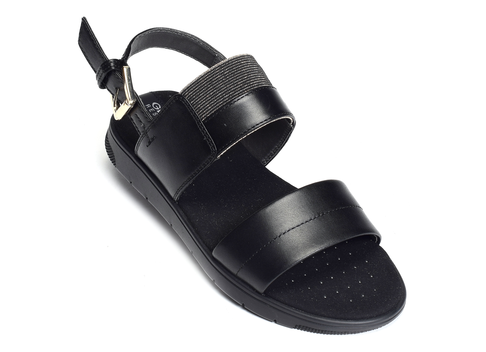 D dandra b noir