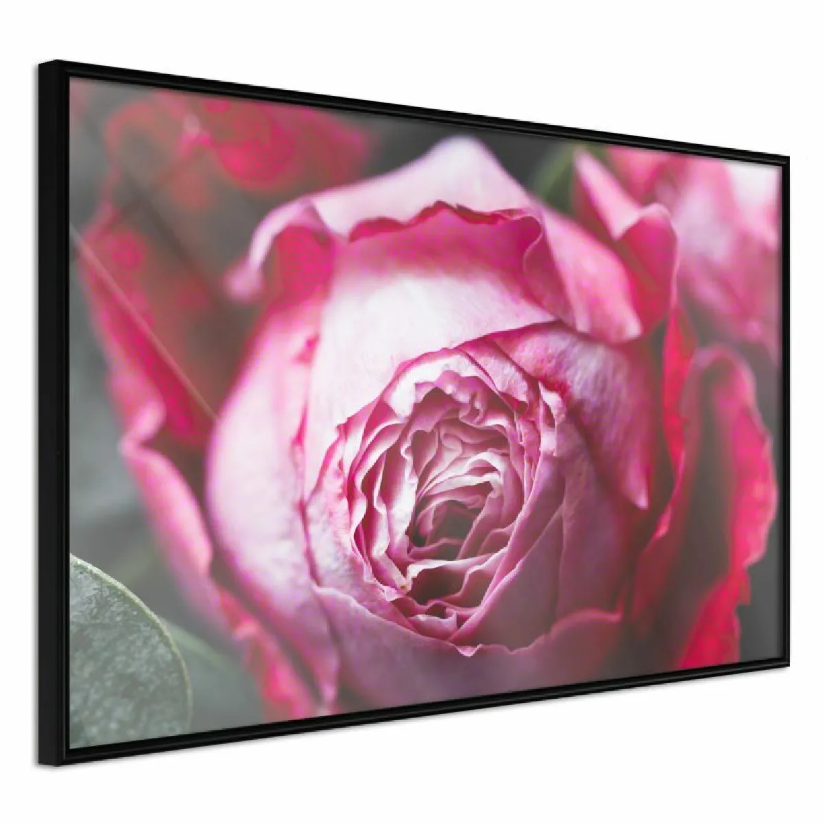 Paris Prix Affiche Blooming Rose - Noir