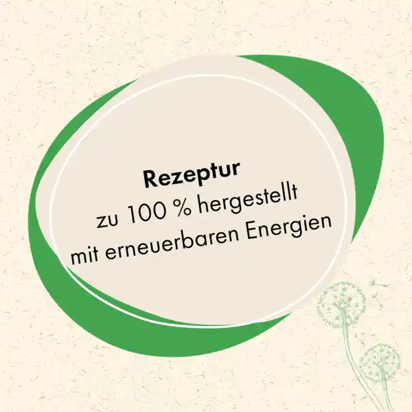 Vollwaschmittel 20 WL