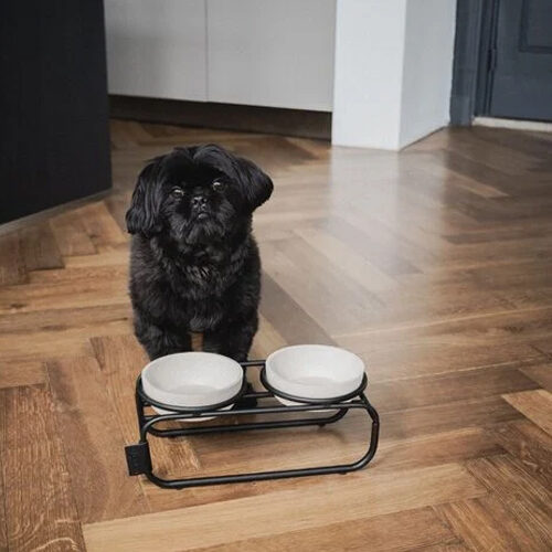 District 70 Butler Voerbakstandaard - Hond