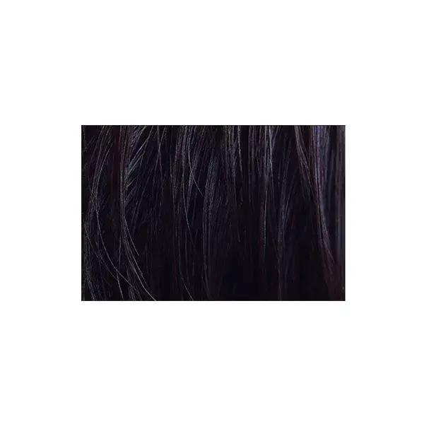 Logona Coloration-Soin Noir Indigo 100g