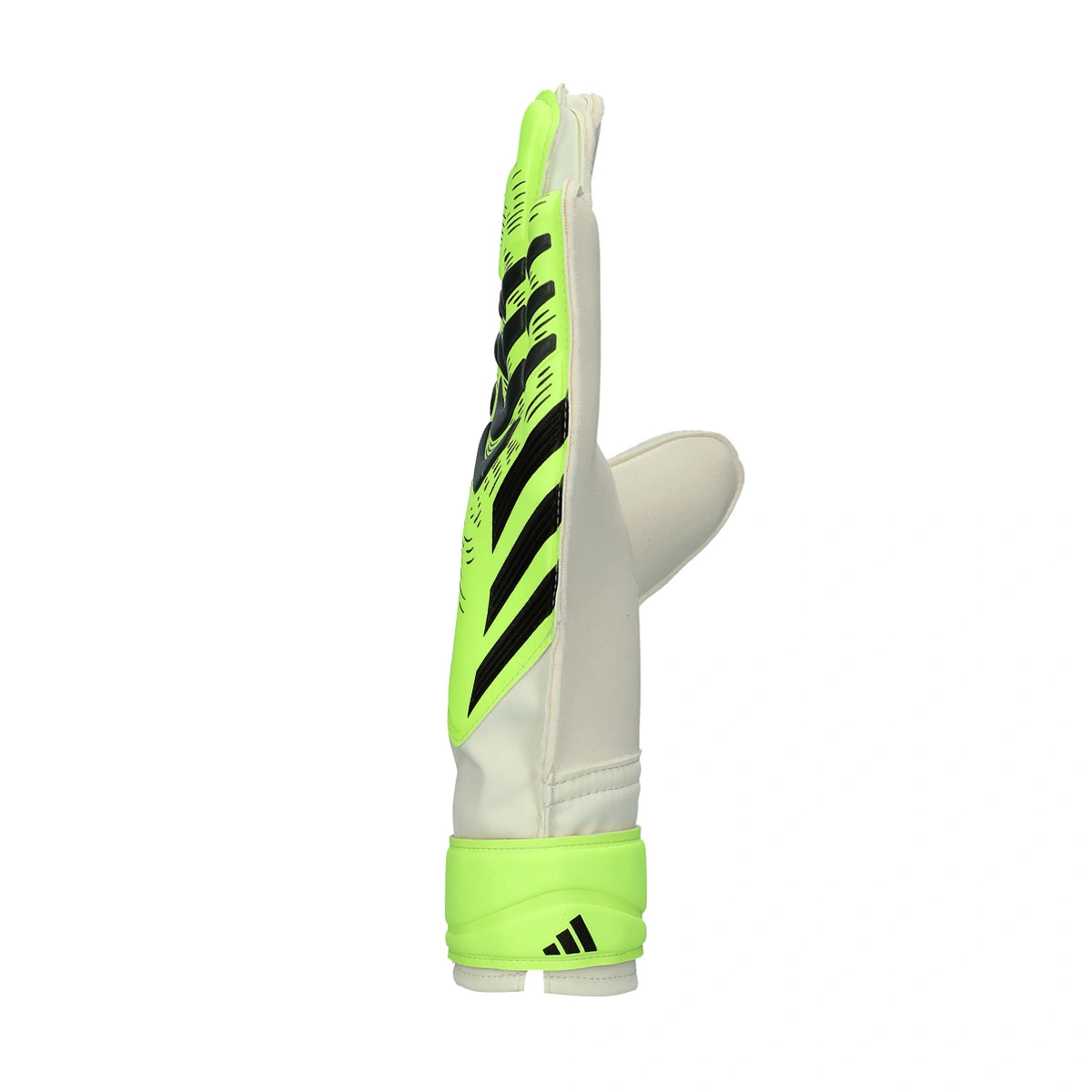 Luvas adidas Predator Training