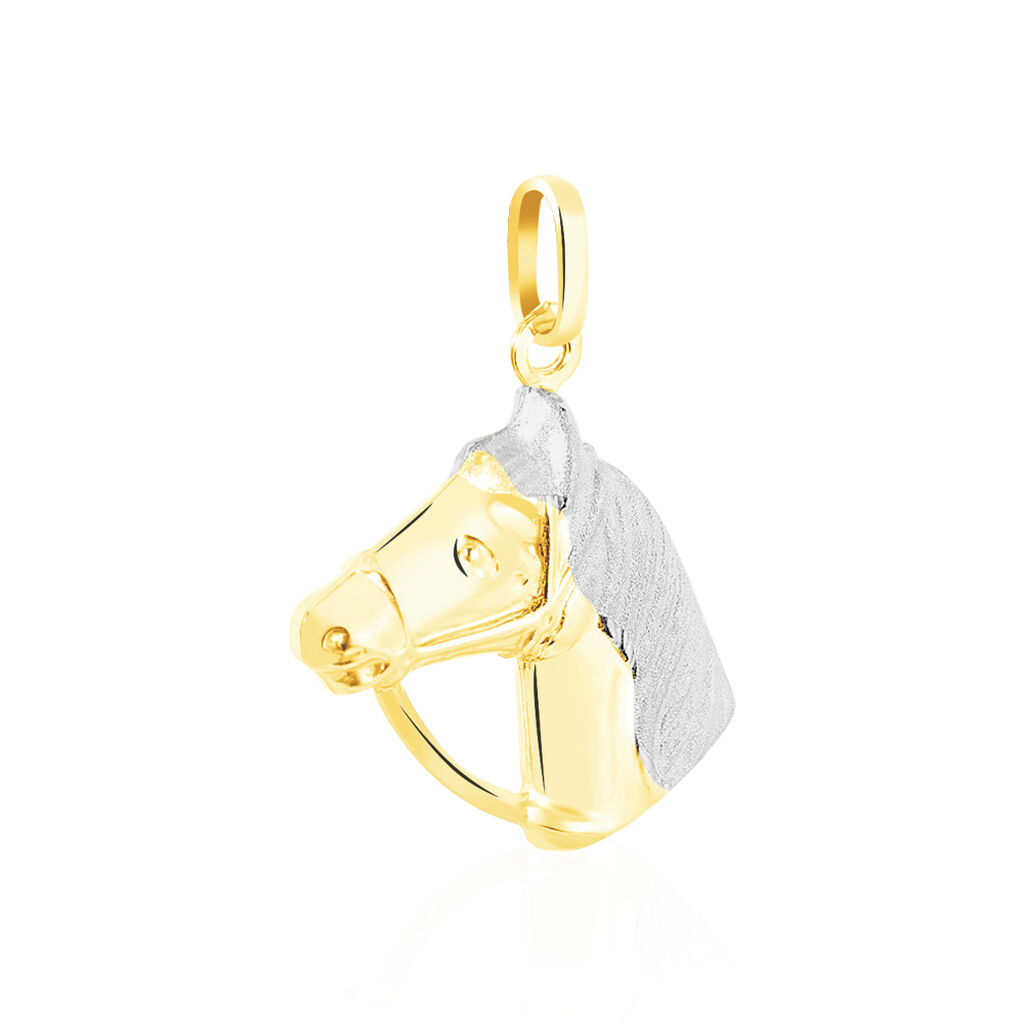 Pendentif Egide Cheval Or Bicolore