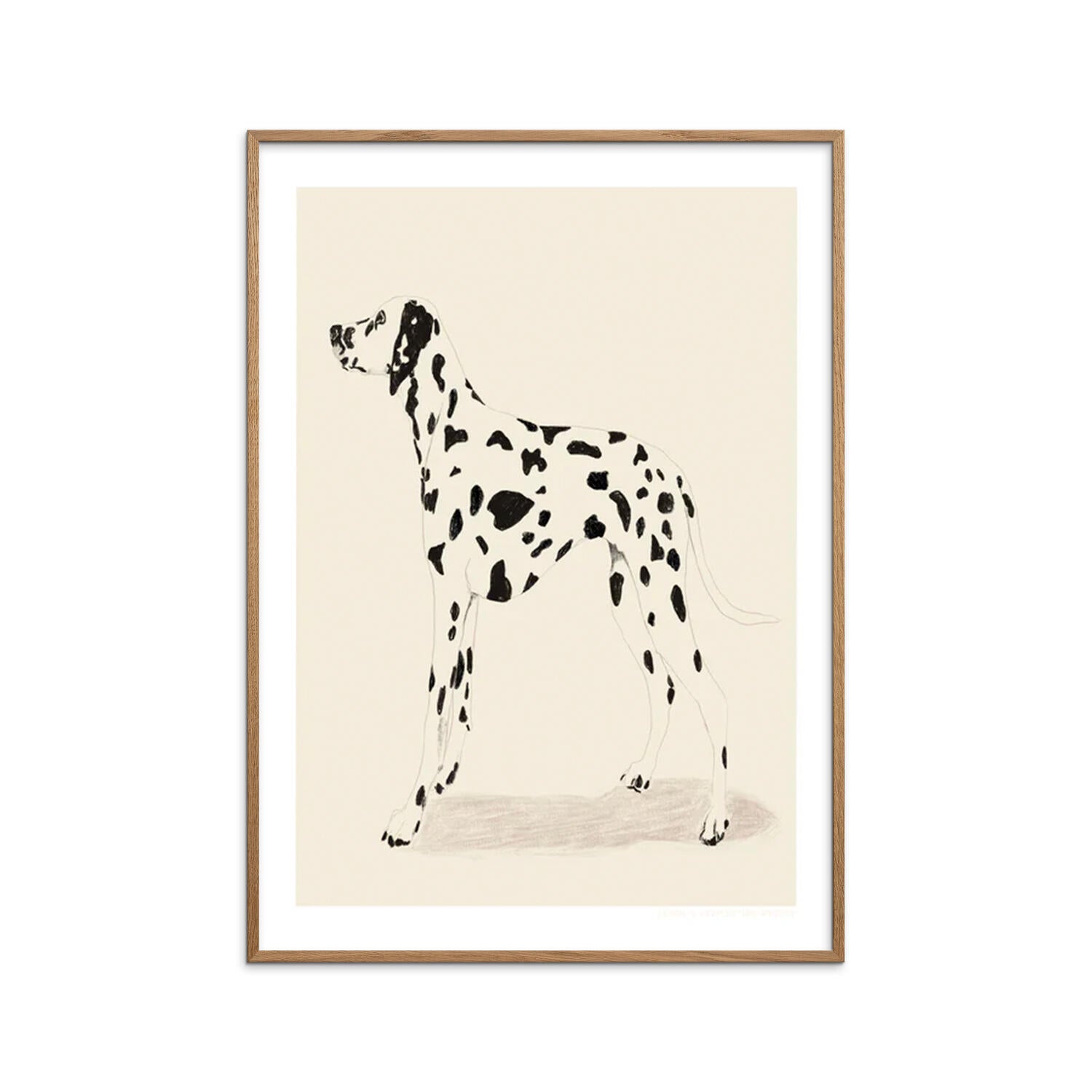 Poster & Frame  Dalmation plakat - 50 x 70 cm