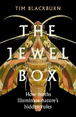The Jewel Box: How Moths Illuminate Nature's Hidden Rules (Hardback)