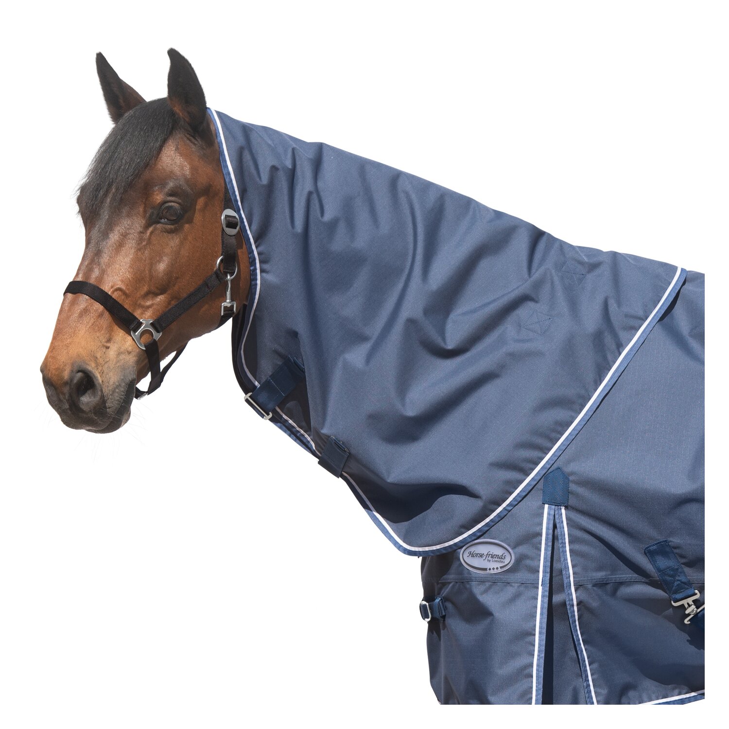 Horse-friends Halsteil Hamburg  - indigo blue