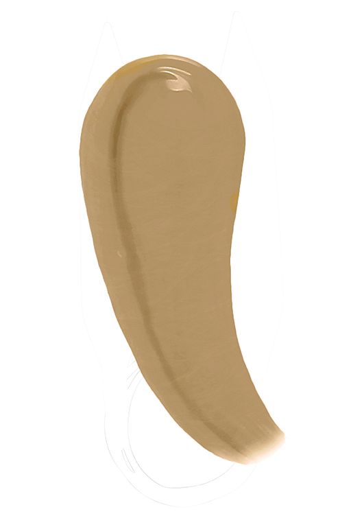 Fit Me Matte & Poreless Foundation
