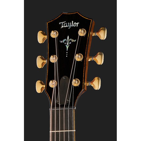 Taylor Builder's Edition 914ce