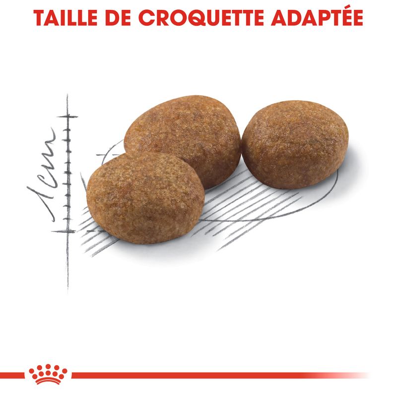 Royal Canin Sterilised 37 - Croquettes chat discount | Bitiba