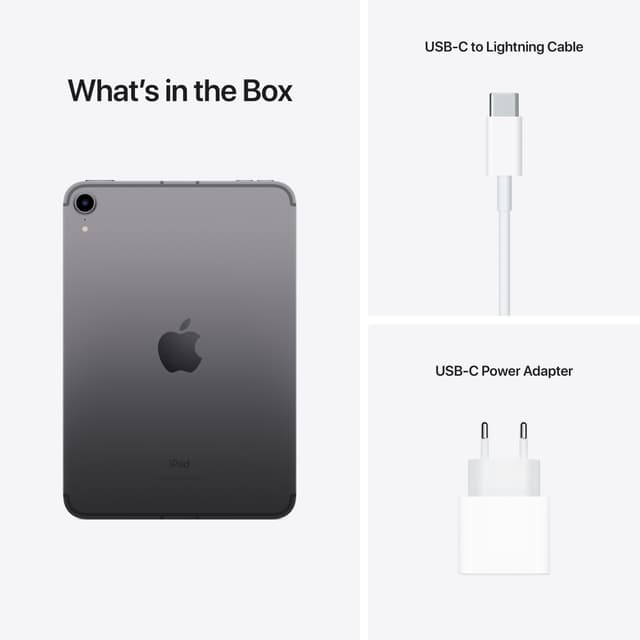 iPad mini (2021) 256 GB 5G (space gray)