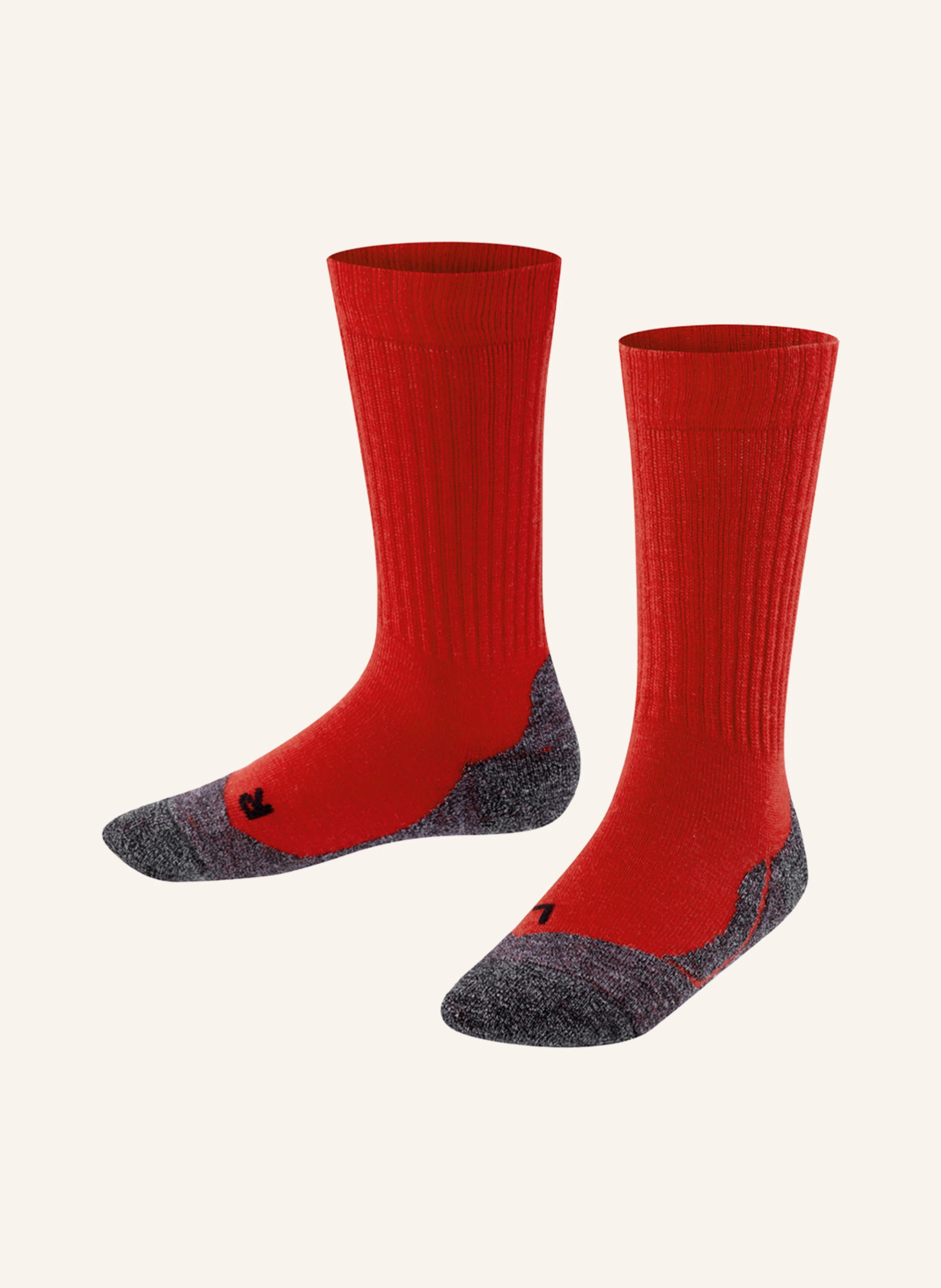 FALKE Thermo-Socken ACTIVE WARM