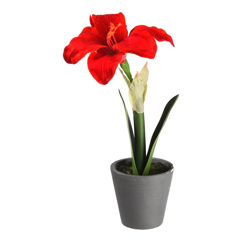 rot, ⌀ 6,5 x H 24 cm