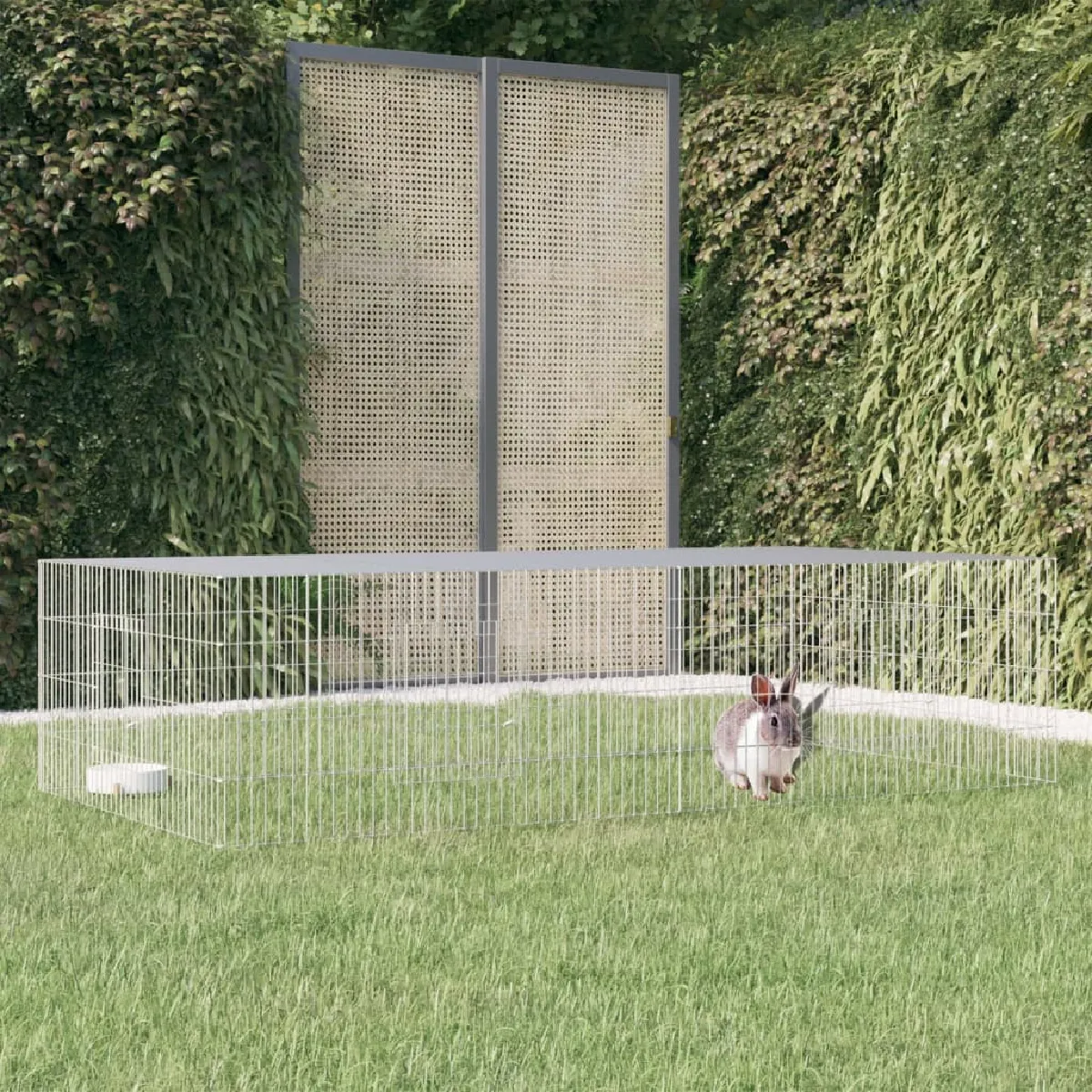 vidaXL Cage à lapin 2 panneaux 220x110x55 cm
