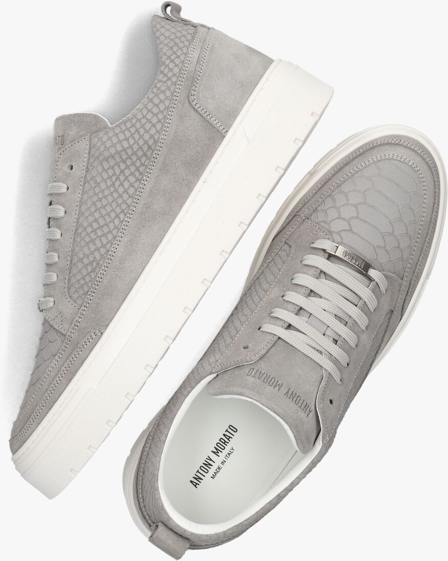 ANTONY MORATO grijze antony morato lage sneakers mmfw01664