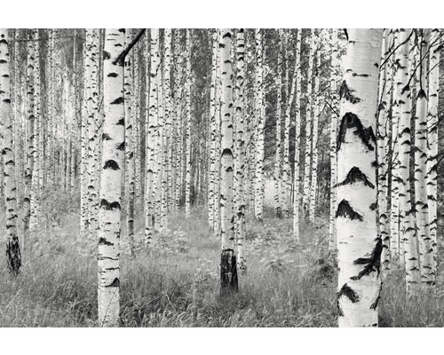Vliesbehang XXL4-023 Woods 4-delige set 368 x 248 cm