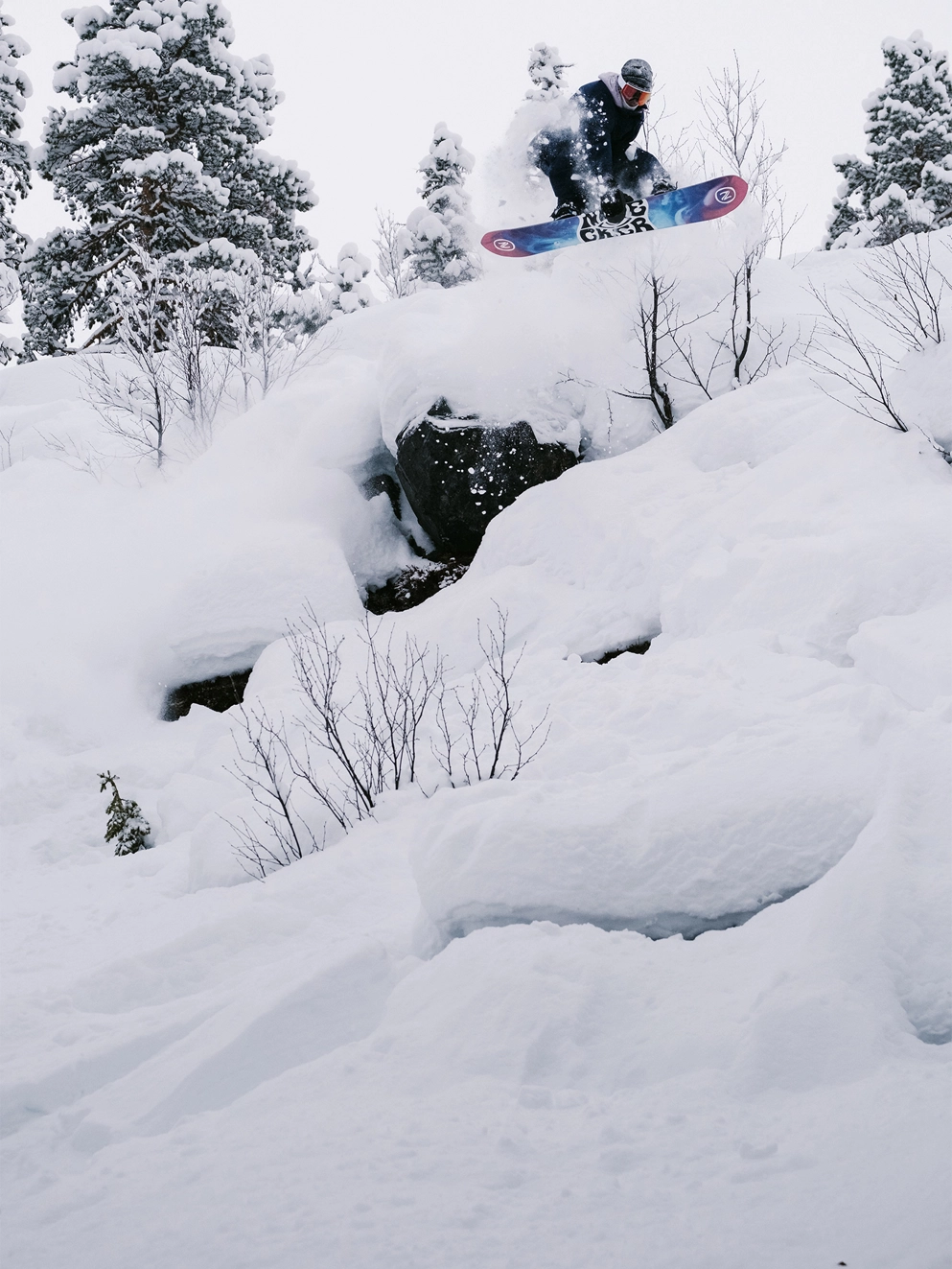 Nidecker Gamma Apx 2024 Snowboard div