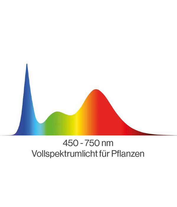 SunElements Pflanzenlampe LED 50 W,