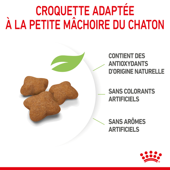 Croquettes chaton stérilisé 6 à 12 mois Kitten stérilisé 3,5kg