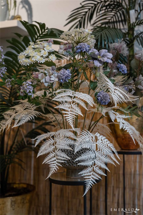 Fern garden creme