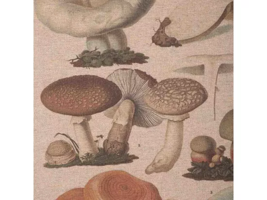 Cadre en bois et tissu