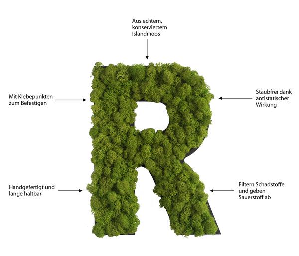 styleGREEN Buchstaben aus Islandmoos, ca. H25