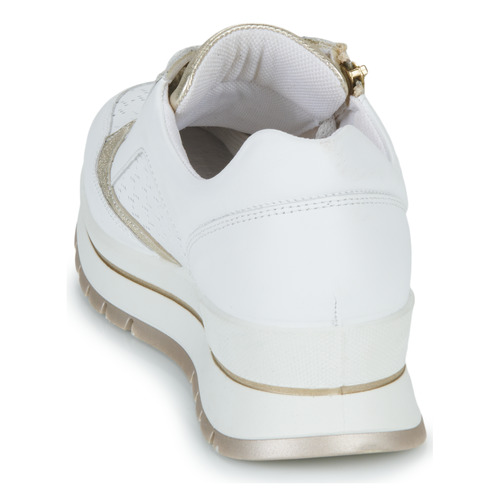 IgI&CO - DONNA ANISIA - Blanc / Doré