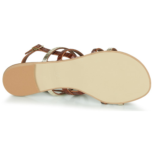 André - MANDIE - Camel