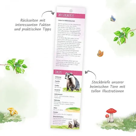 Trötsch Streifenkalender Mini 