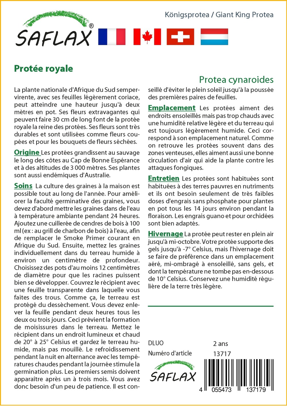 Protée royale - 5 graines - protea cynaroides