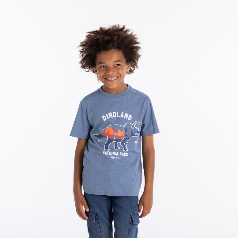 T-shirt à motif dinosaure bleu garçon