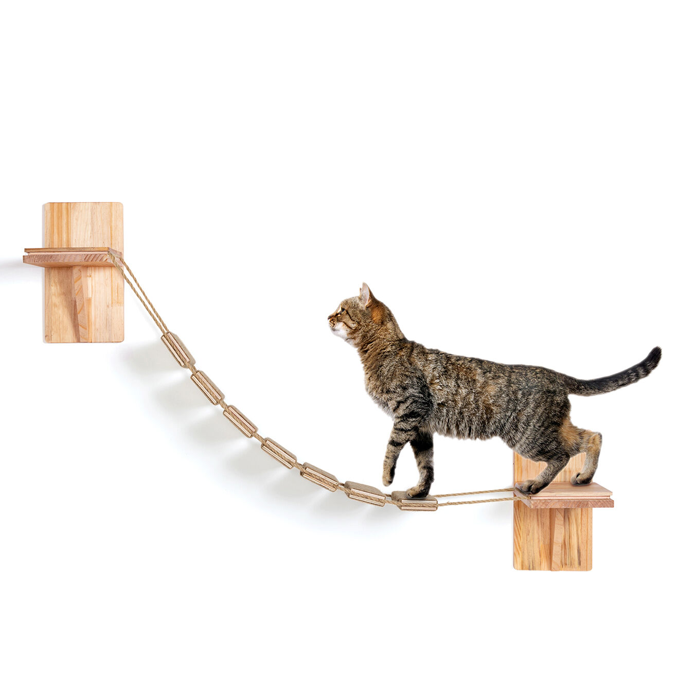 Pratik Garden Escalier Mural pour Chat bois