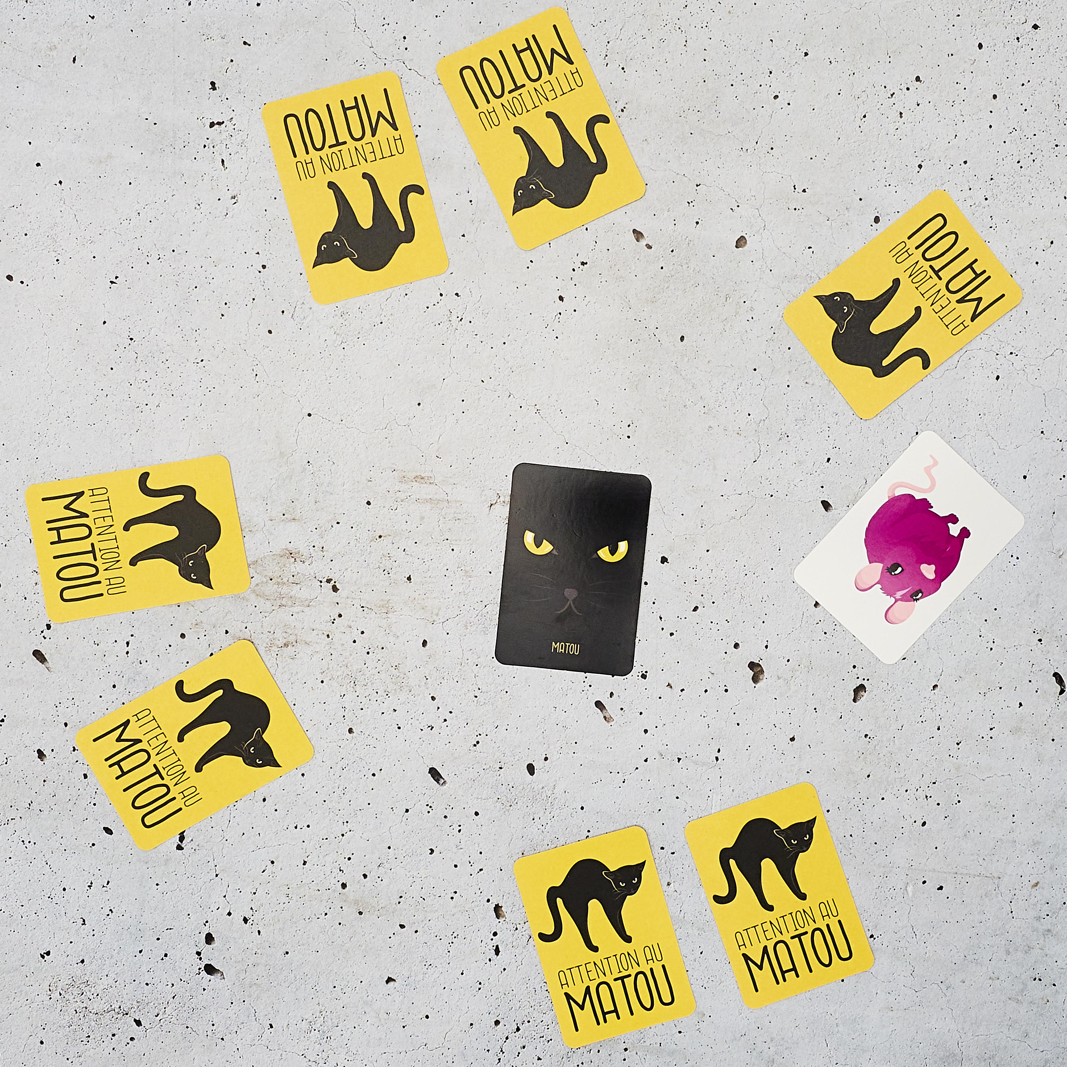 JEU DES PAIRES 60 CARTES