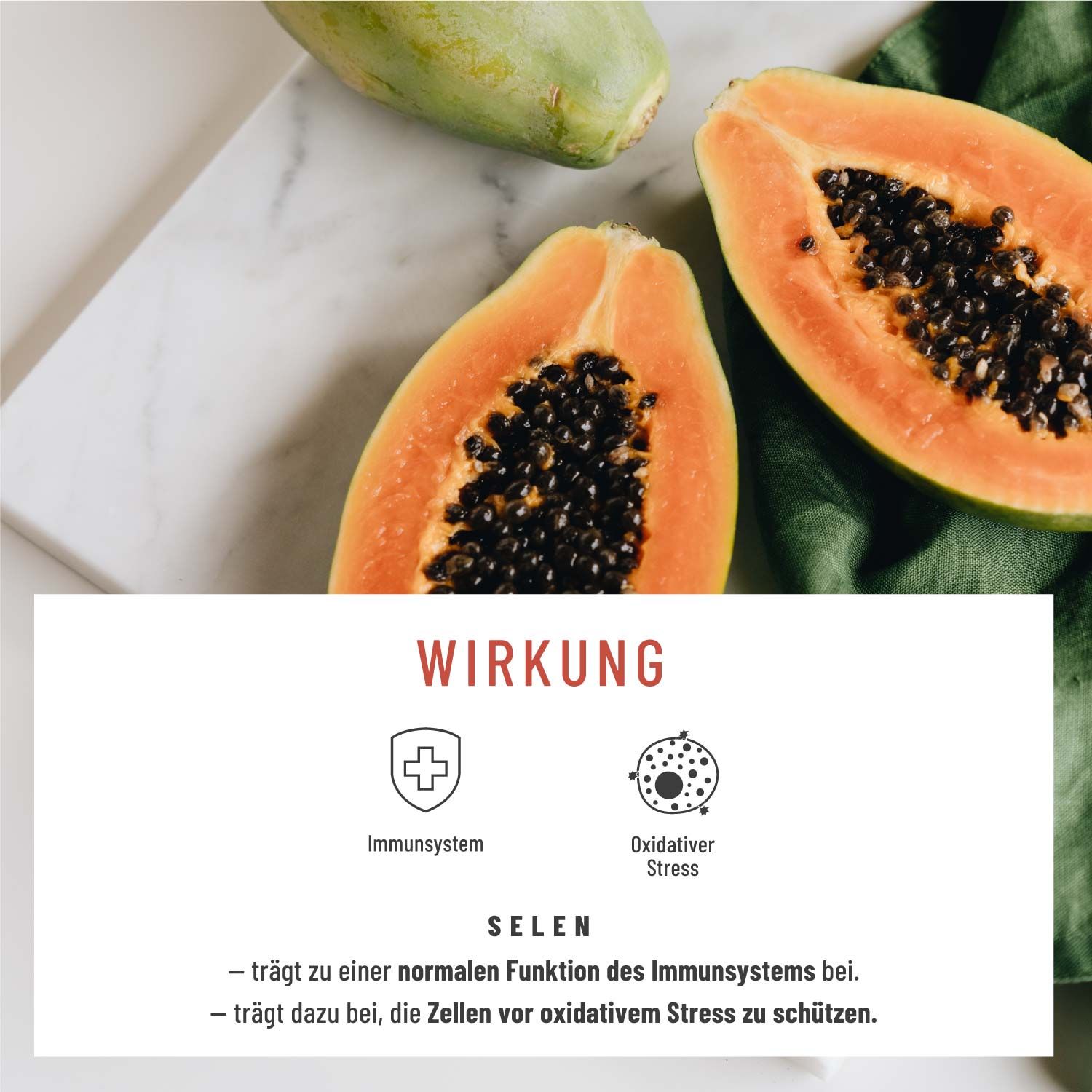 Enzym-Komplex mit Bromelain & Papain - Wohlenzym - NATURTREU®