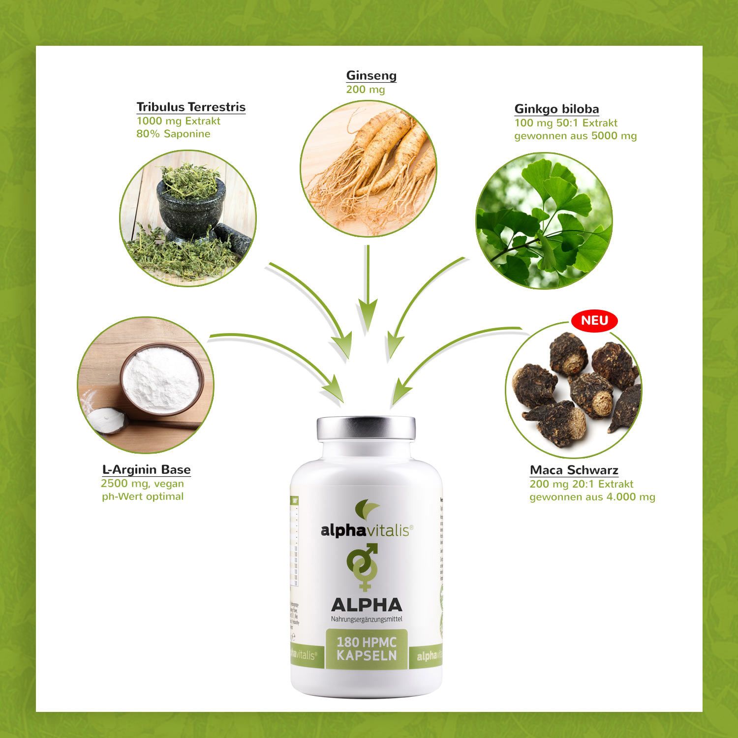 Alphavitalis® ALPHA