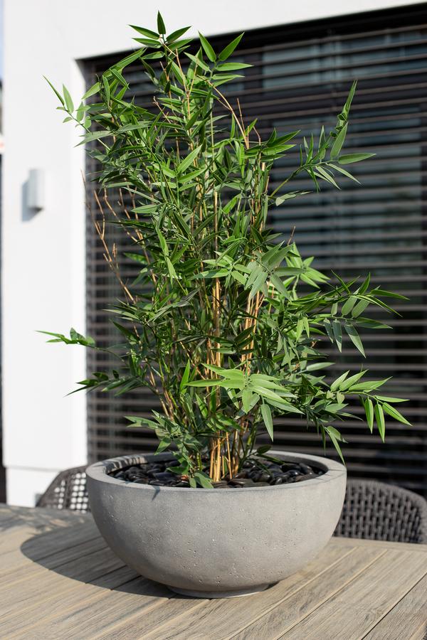 fleur ami Polystone-Pflanzschale Ego Plus,