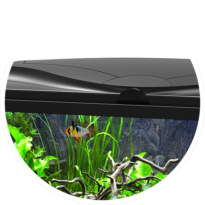 Ciano Aquarium aqua 60 LED CF80 zwart compleet