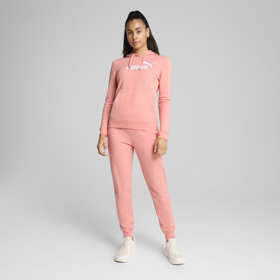 Puma ESS No. 1 Logo Hoodie