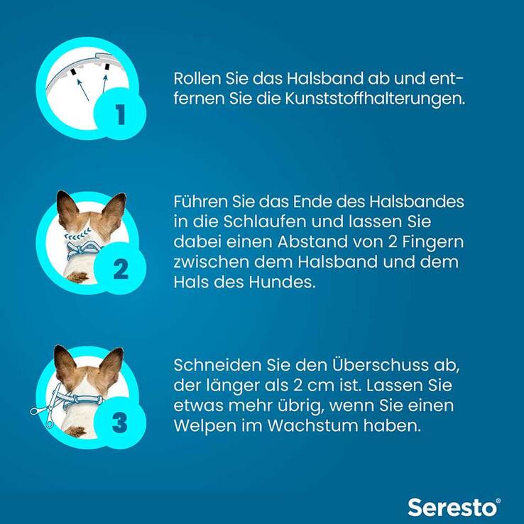 Seresto Halsband für kleine Hunde bis 8 kg, 1 St