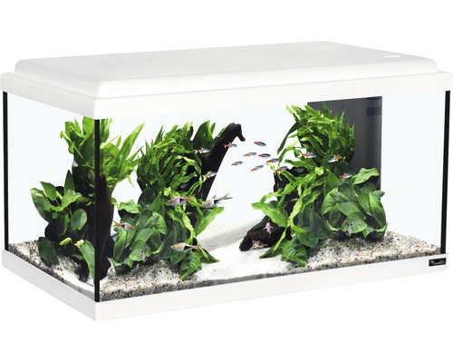 Aquatlantis Advance 60 aquarium met LED-verlichting, filter, verwarming (zonder kast), wit, ca. 60 x 30 x 34 cm, ca. 54 L