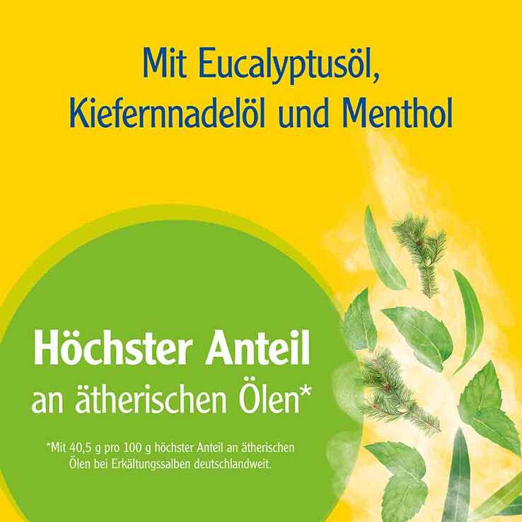 Pinimenthol® Erkältungssalbe Eucalyptusöl Kiefernnadelöl Menthol, 50 g